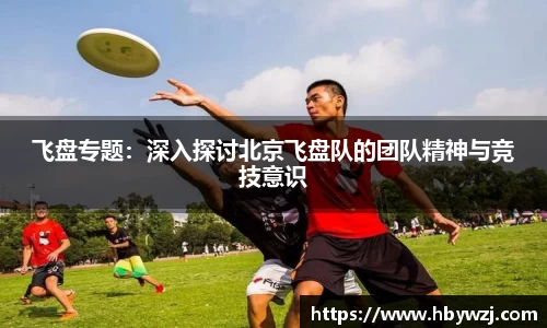 飞盘专题：深入探讨北京飞盘队的团队精神与竞技意识